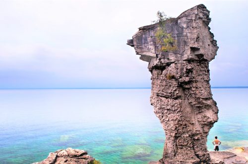 flower pot island